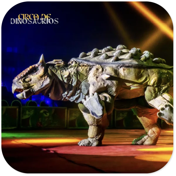 Maipudino-circo-web5@2x