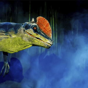 Zonas de snacks, baños impecables y espacio seguro para niños.